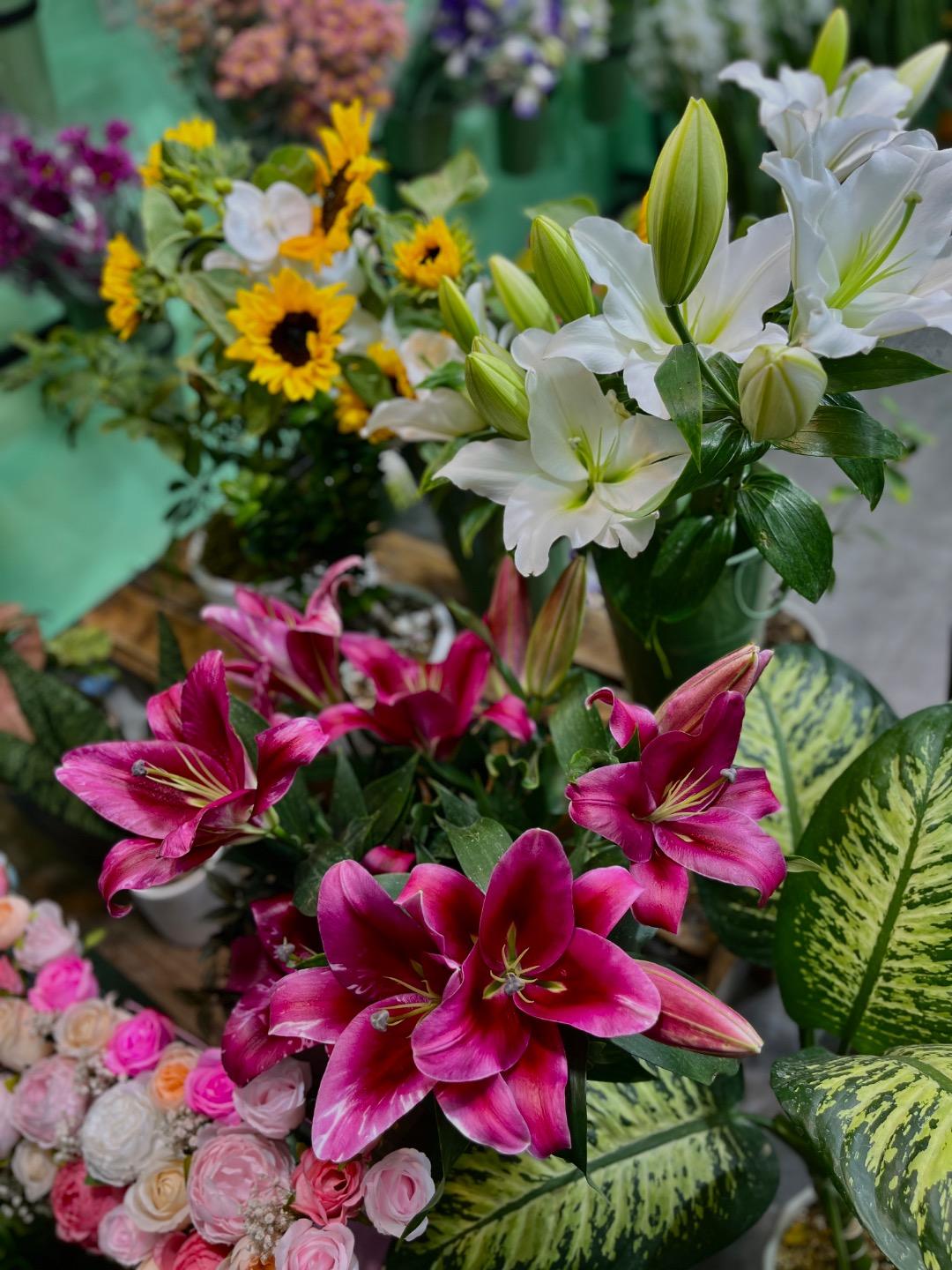 عکس گل فلورا