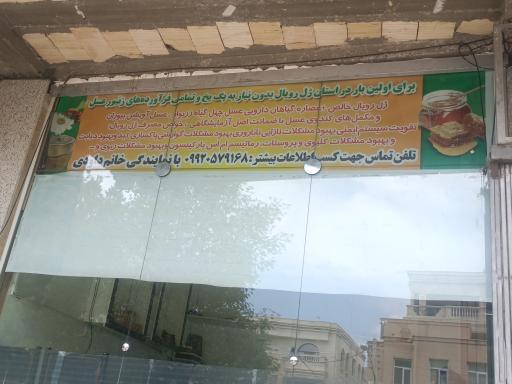 عکس دفتر ژل رویال داوودی