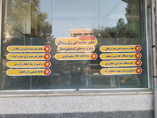 عکس دفتر ژل رویال داوودی