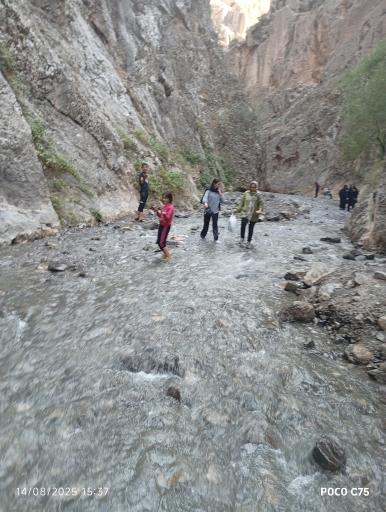 عکس بهشت گمشده ارتکند