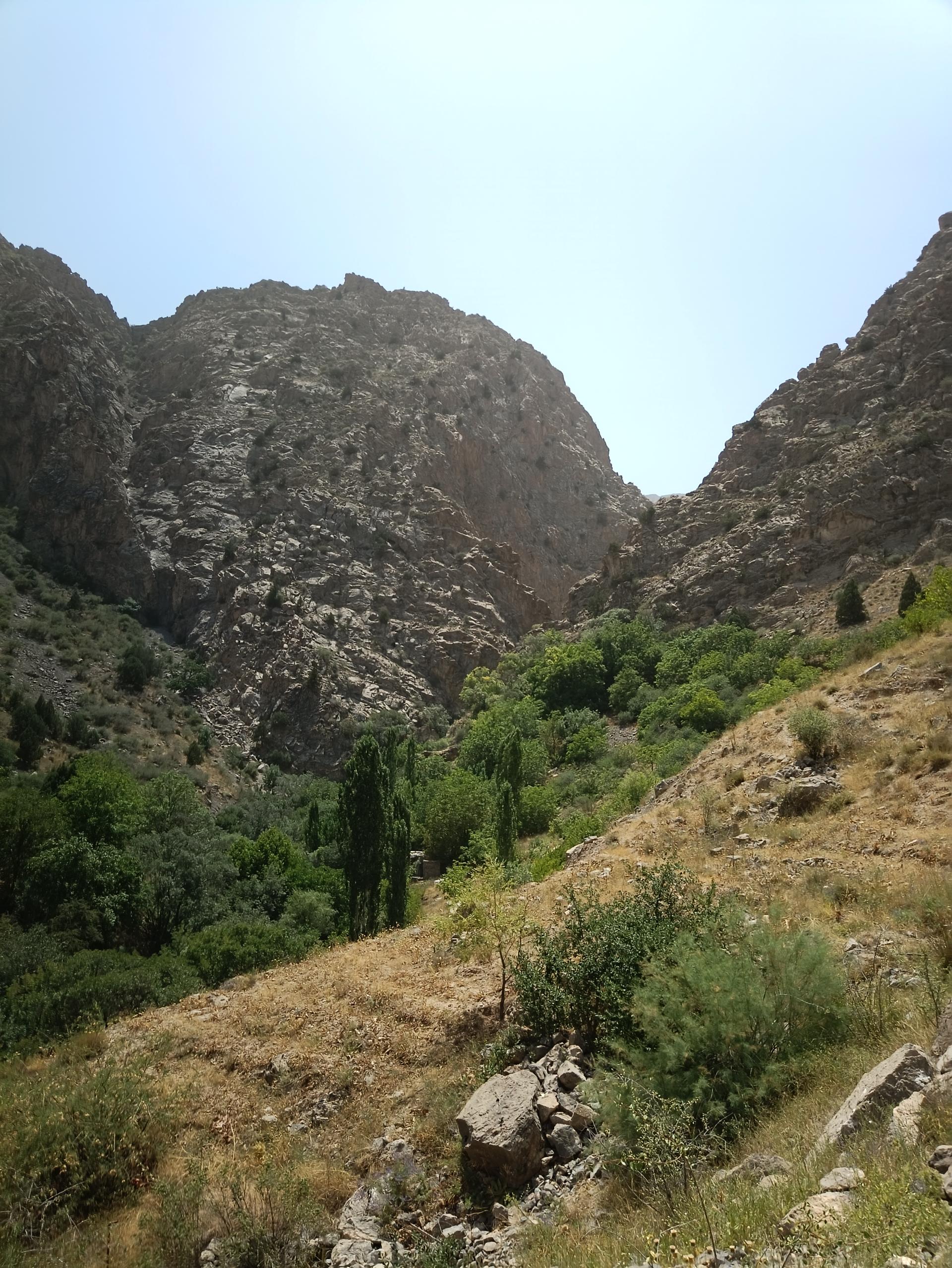 عکس بهشت گمشده ارتکند