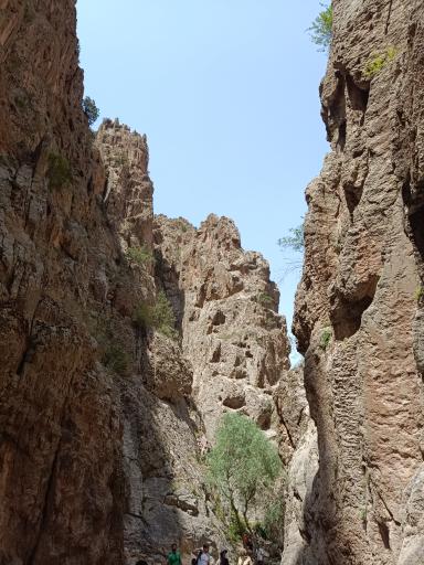 عکس بهشت گمشده ارتکند