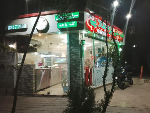 عکس طباخی بره طلایی