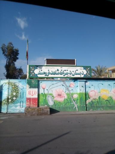 عکس دبستان شاهد دخترانه دوره اول فرومند