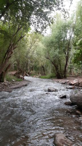 عکس بهشت گمشده ارتکند