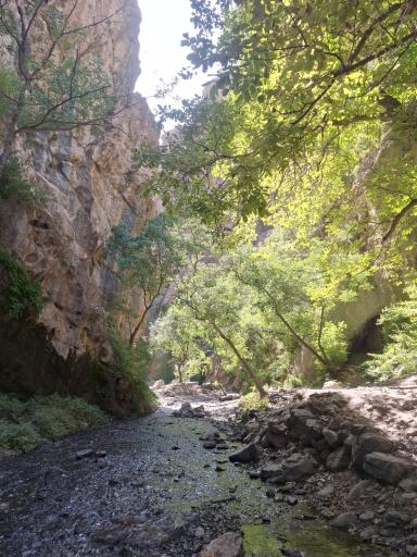 عکس بهشت گمشده ارتکند