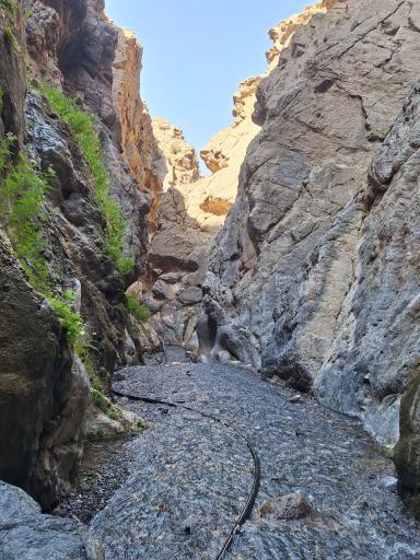 عکس بهشت گمشده ارتکند