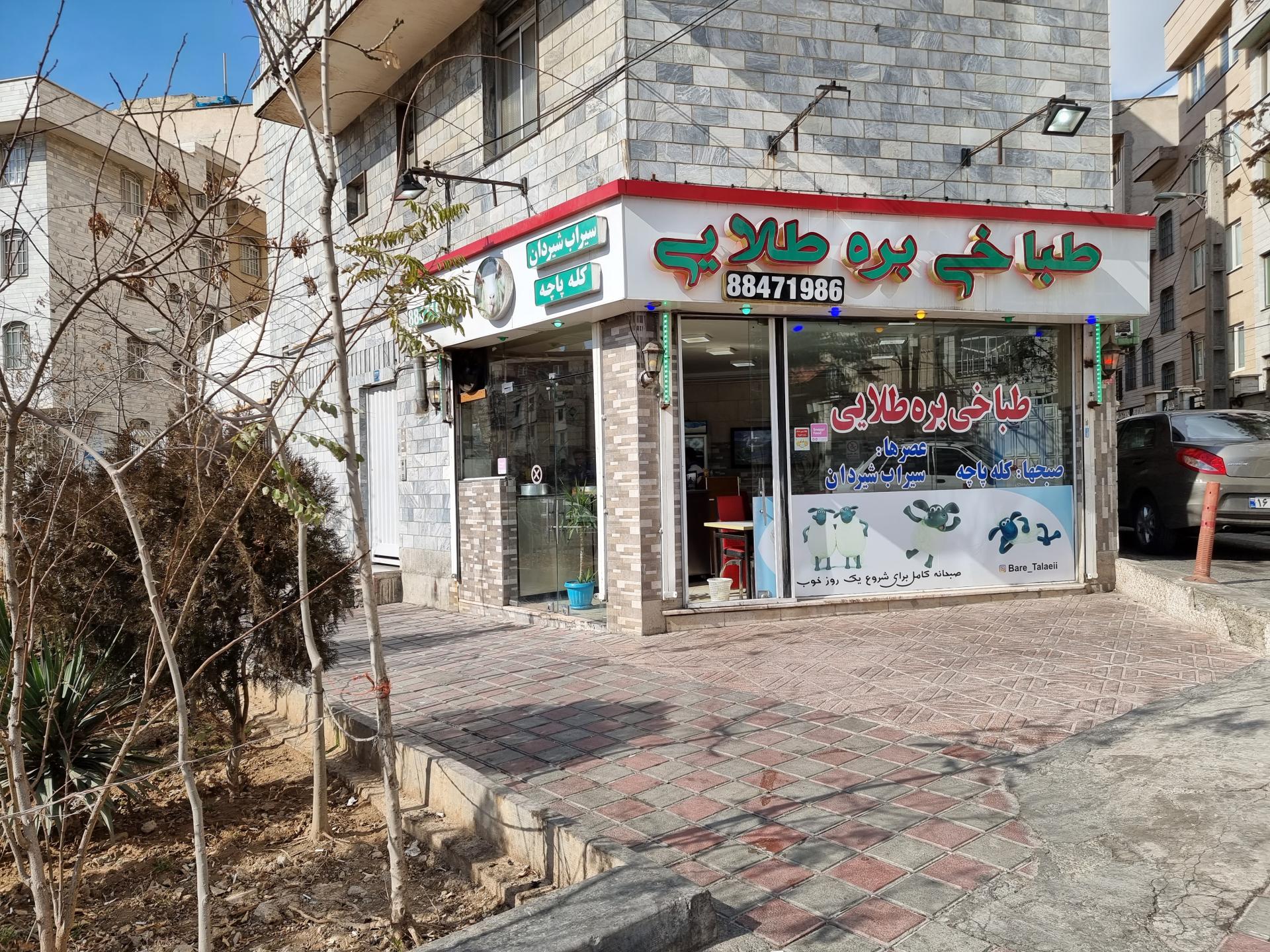 عکس طباخی بره طلایی