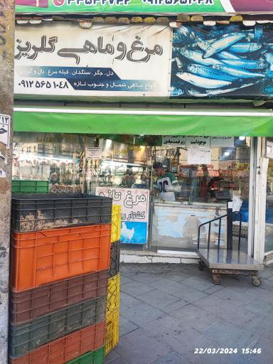 عکس مرغ و ماهی گلریز