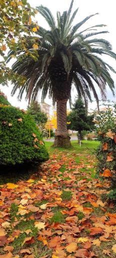 عکس پارک مادر