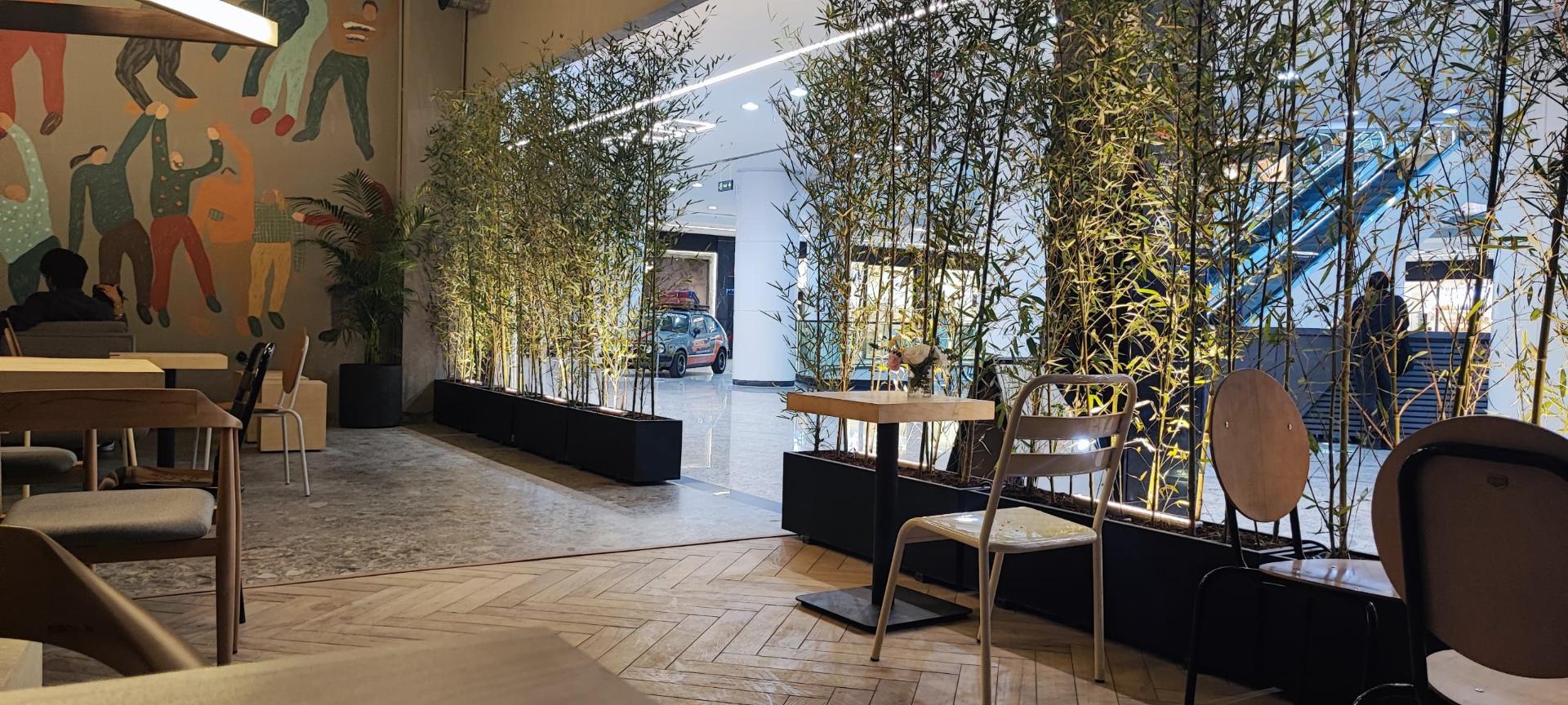 عکس قهوه لمیز شعبه سعادت آباد شعبه مدیریت