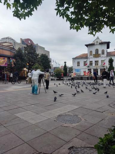 عکس ساختمان تاریخی شهرداری رشت