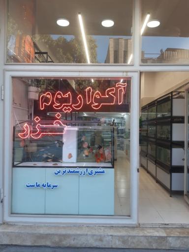 عکس آکواریوم خزر