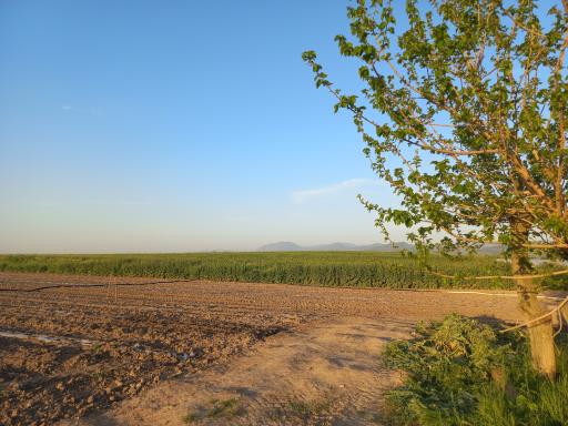 عکس حاجی بالخان
