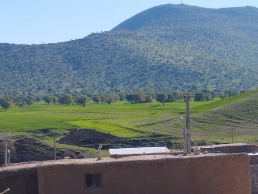 عکس بلوران