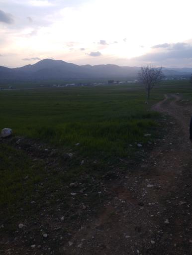 عکس بلوران