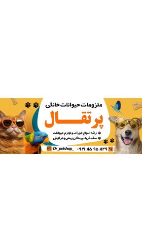عکس پت شاپ پرتقال 