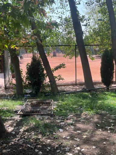 عکس دفتر آکادمی تنیس باشگاه انقلاب