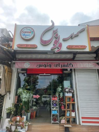 عکس گلسرای ونوس
