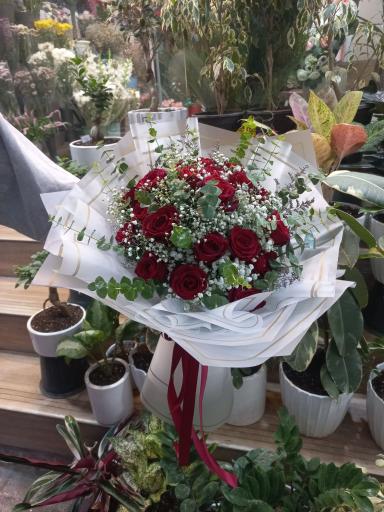 عکس گلسرای ونوس