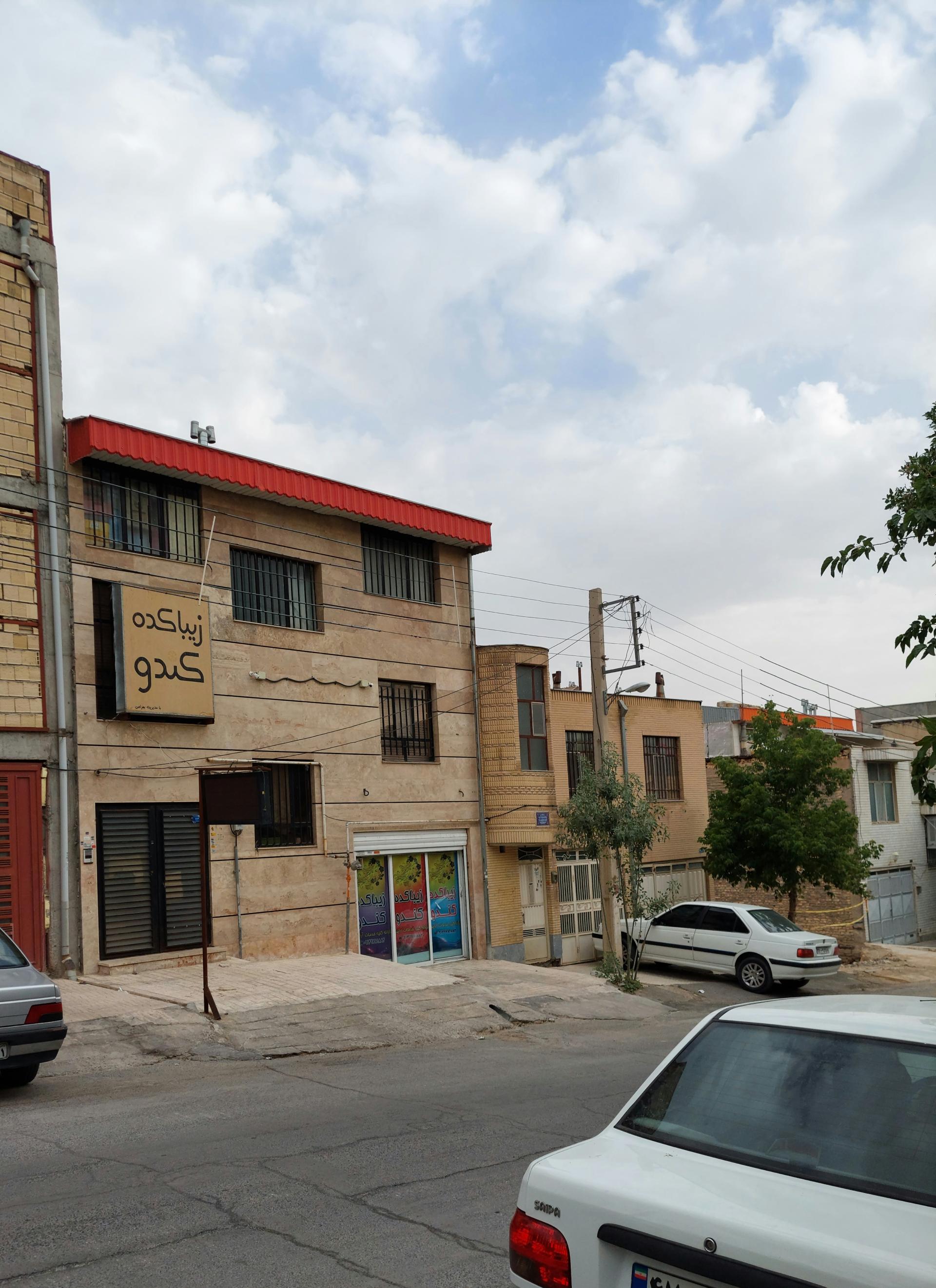 عکس زیباکده کندو