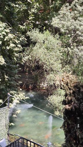 عکس رستوران سرآشپز حم تیروژ