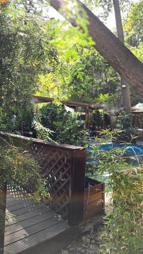 عکس رستوران سرآشپز حم تیروژ