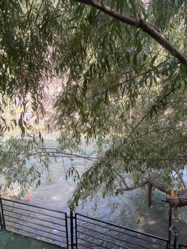 عکس رستوران سرآشپز حم تیروژ