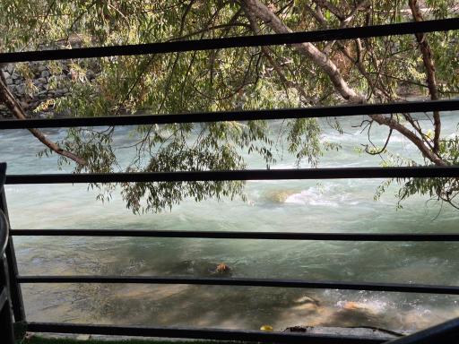 عکس رستوران سرآشپز حم تیروژ