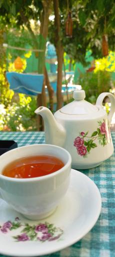 عکس کافه خانه نارنج