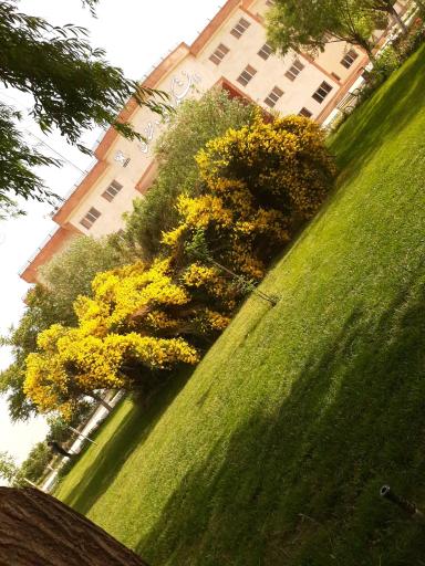 عکس دانشگاه آزاد اسلامی واحد ملارد