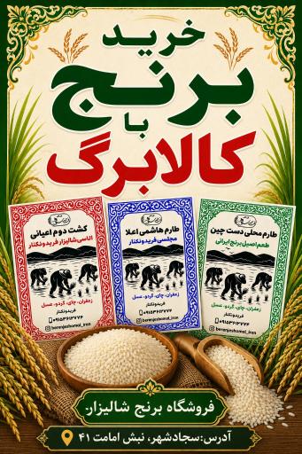 عکس فروشگاه برنج شالیزار بازرگانی بنی اسدی