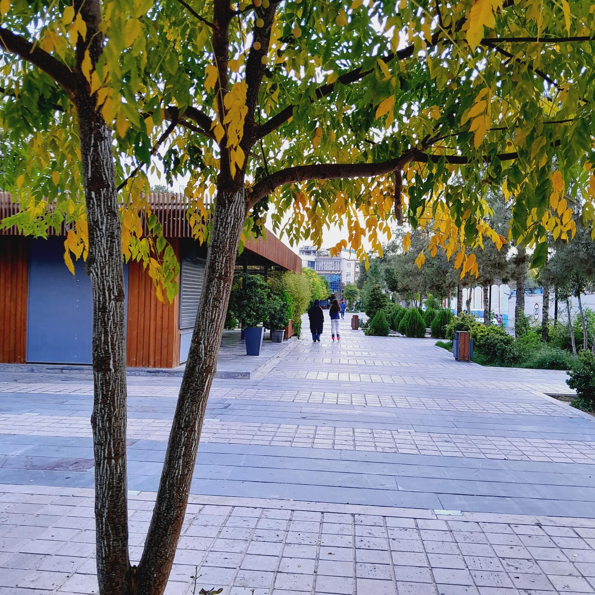 عکس پیاده راه باباکوهی 