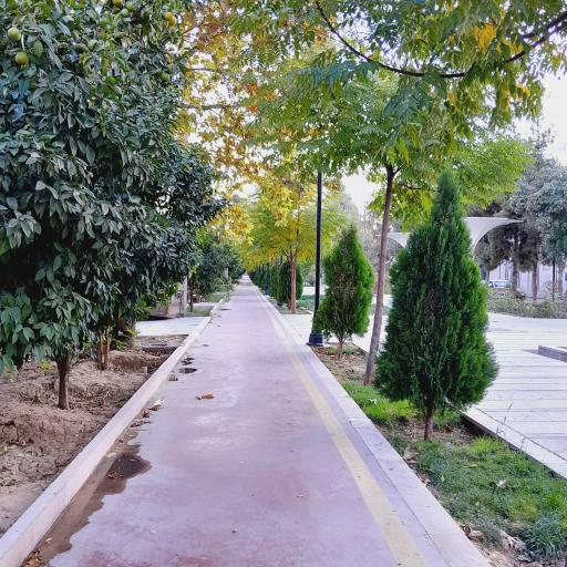 عکس پیاده راه باباکوهی 