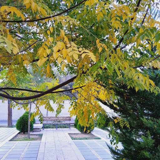 عکس پیاده راه باباکوهی 