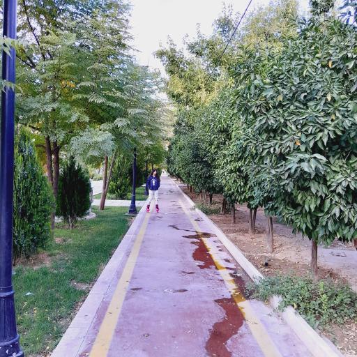 عکس پیاده راه باباکوهی 