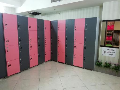 عکس باشگاه ورزشی بانوان تن ناز