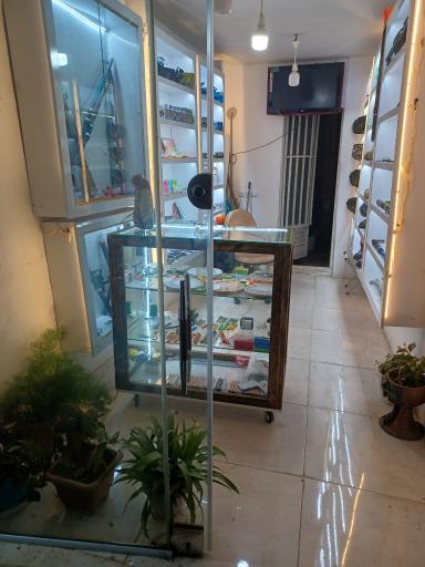 عکس کلبه شکار نصرالله زاده