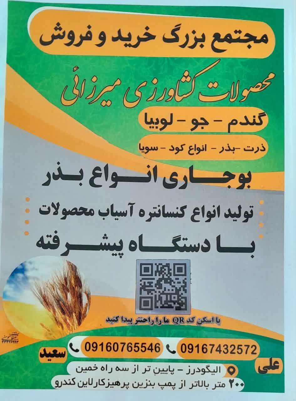 عکس بازرگانی حبوبات و غلات میرزایی الیگودرز