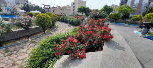 عکس خانه معلم تبریز - باشگاه فرهنگیان