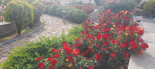 عکس خانه معلم تبریز - باشگاه فرهنگیان