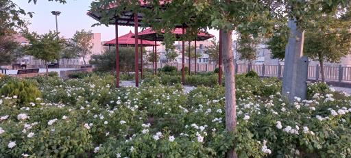 بوستان طبقاتی شهید زین‌ الدین