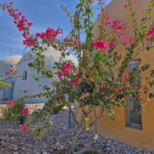 عکس اقامتگاه ماجرا