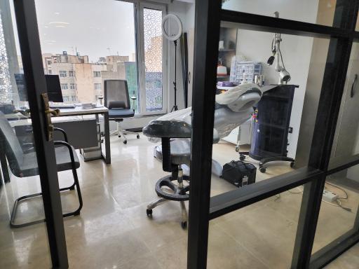 عکس دکتر علی روشناس و دکتر پانته آ مهربان