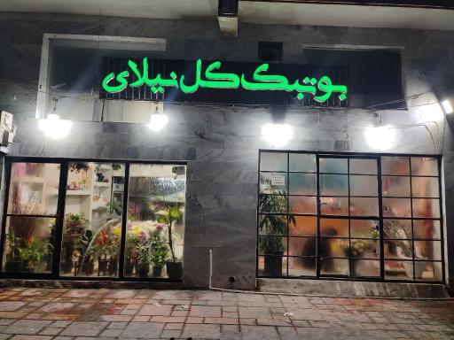 عکس گل سرای نیلای گل 
