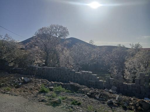 عکس هریزه