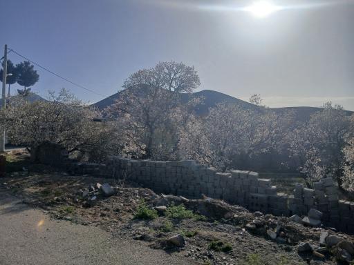 عکس هریزه