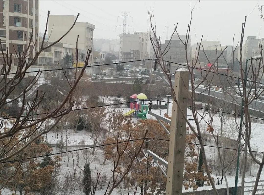 عکس بوستان رضوان