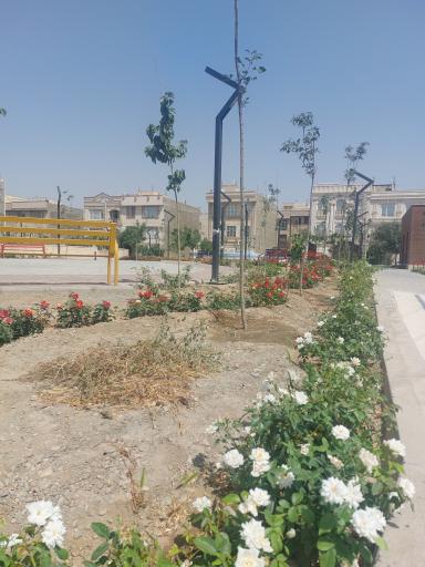 عکس بوستان همت