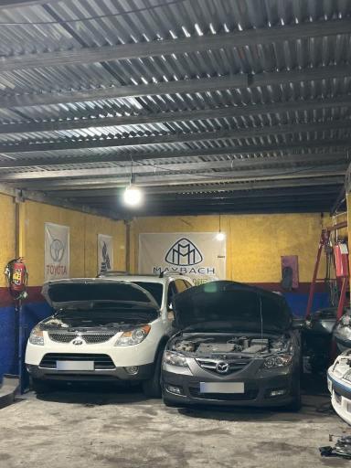 تعمیرگاه می باخ